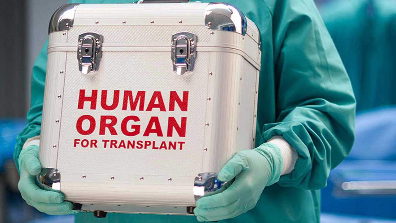 ORGAN HARVESTING