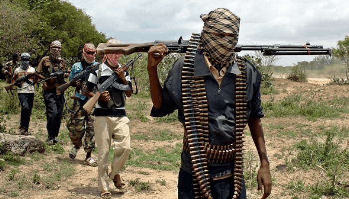 Bandits Attack Kebbi Community