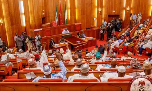 Senate urges President Tinubu to assent to Forest Security bill to address insecurity, kidnapping