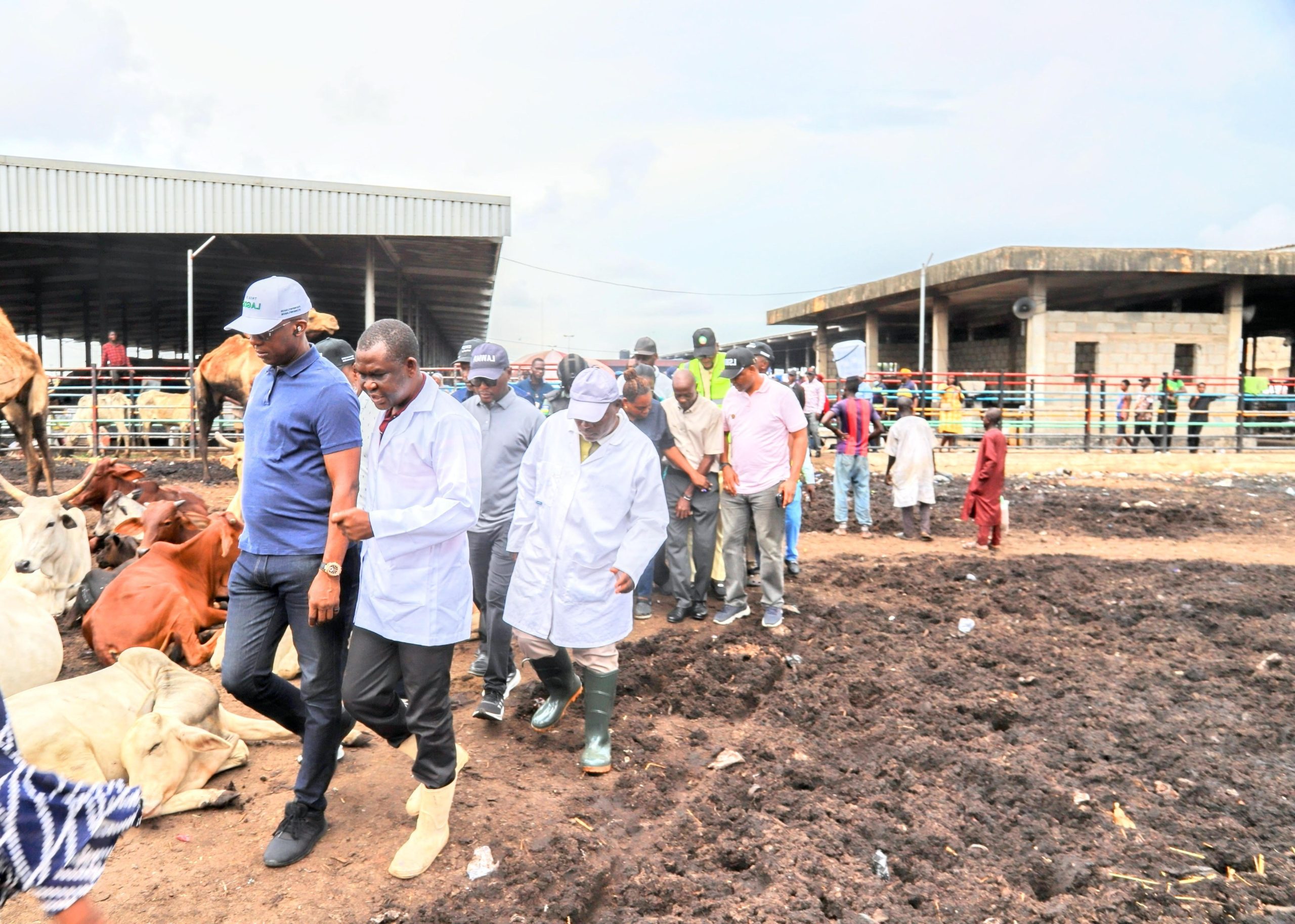 Lagos Government Shuts Down Oko-Oba Abattoir Over Poor Sanitation and Waste Violations