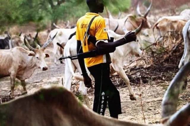 Herders-Farmers Clash in Taraba: 62 Houses Razed, One Injured as Government Sends Relief