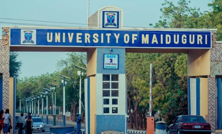 UNIMAID Alumni, Students Reject Renaming to Muhammadu Buhari University, Recommend Alternatives