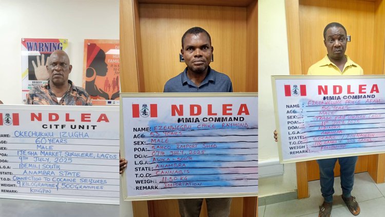 NDLEA Nabs Wanted Drug Kingpin