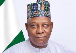 ADC to Tinubu: Shettima Spoke the Truth, President Has No Power to Remove a Governor