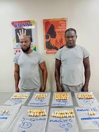 NDLEA Arrests Brazil Returnees, Businesswoman, and Others in Major Drug Busts Across Nigeria