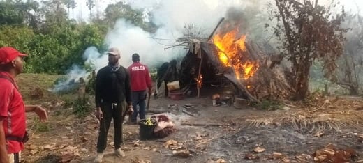 NDLEA Destroys Cannabis Farm, Recovers Ammunition in Plateau