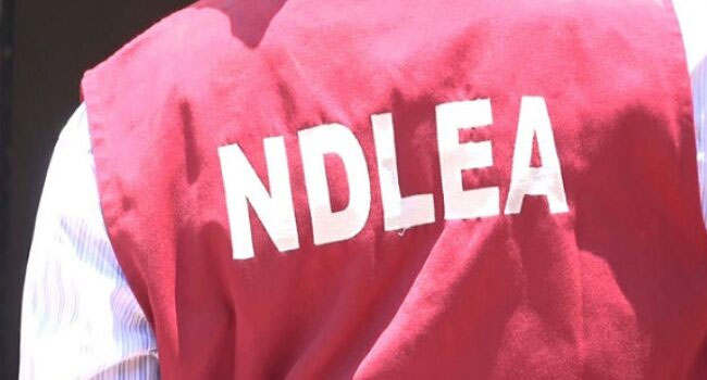 NDLEA Operatives Repel Cultist Attack During Drug Raid in Port Harcourt