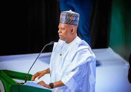 Vice President Kashim Shettima is attending the 31st Nigeria economic summit.