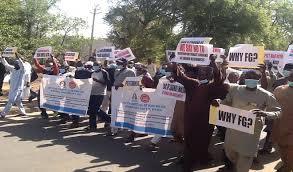 SSANU/NASU PROTEST- KANO CHAPTER