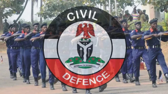 NSCDC Intercepts 204 Vandalized NNPCL Pipes, Arrests Five Suspects in Adamawa