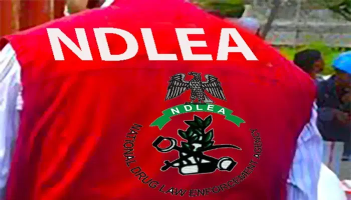 NDLEA Arrests Notorious Drug Kingpin