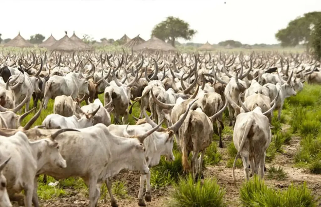 Plateau, FG Align on Wase Grazing Reserve as State Rejects Miyetti Allah Claims