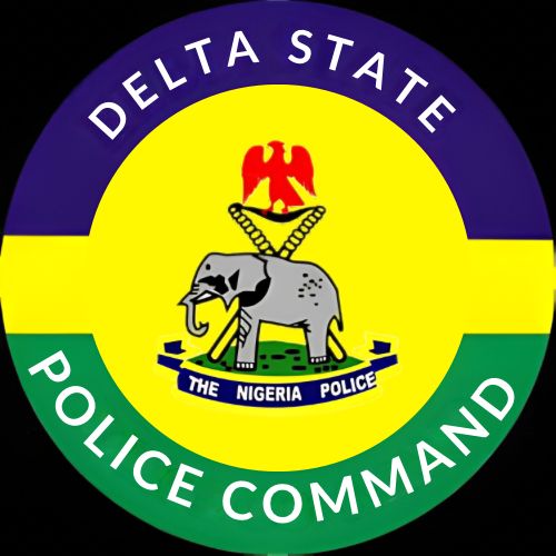 Police Arrest Over 270 Suspects in Delta State