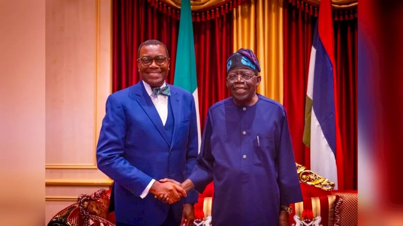 Adesina Reaffirms Commitment to Nigeria After Meeting Tinubu
