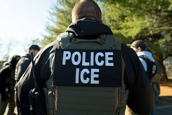 Nigerian Campaign Canvasser Arrested By ICE After Guilty Plea In US