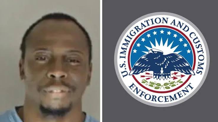 Nigerian Campaign Canvasser Arrested by ICE After Guilty Plea in US