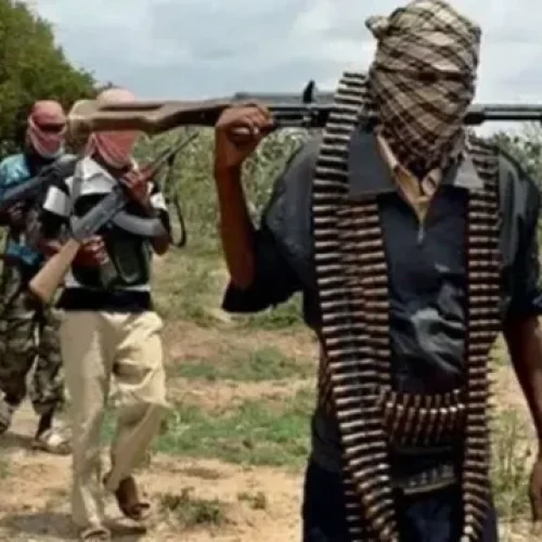 Birnin Gwari Records Peace After Years of Bandit Attacks