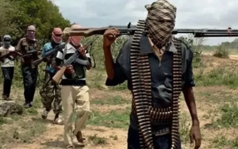 Birnin Gwari Records Peace After Years of Bandit Attacks