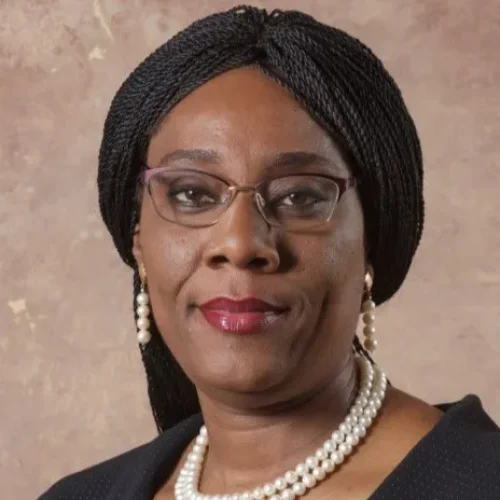 Director-General of Nigerian Law School