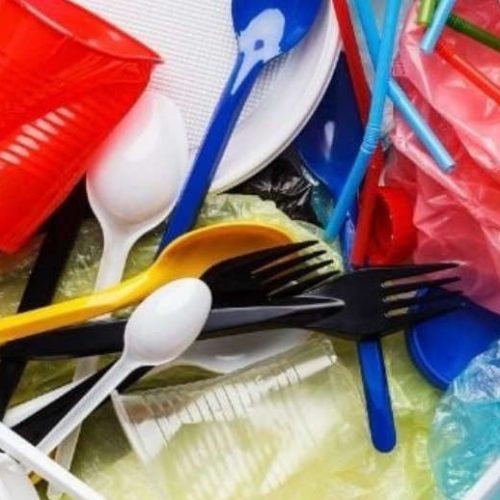 Ban on Single-Use Plastics