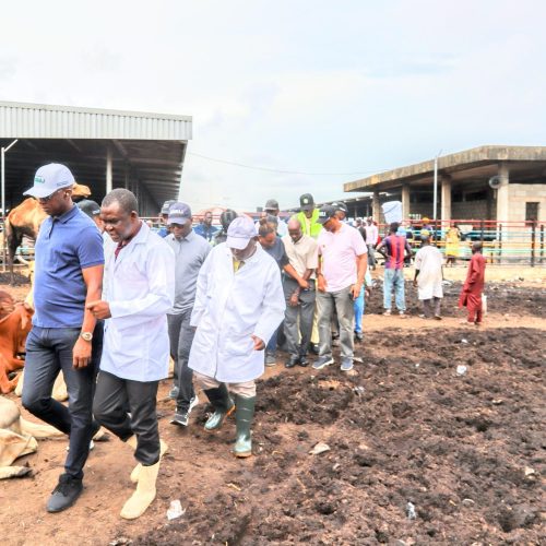 Lagos Government Shuts Down Oko-Oba Abattoir Over Poor Sanitation and Waste Violations