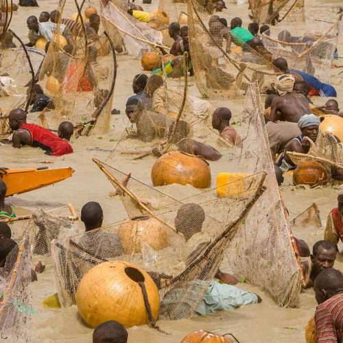 Tinubu Visit Argungu Festival