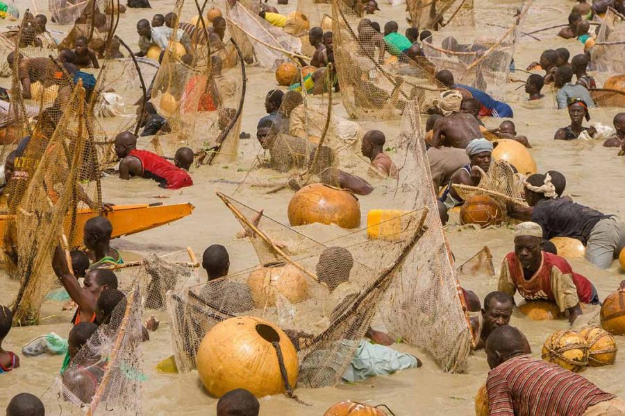 Tinubu Visit Argungu Festival