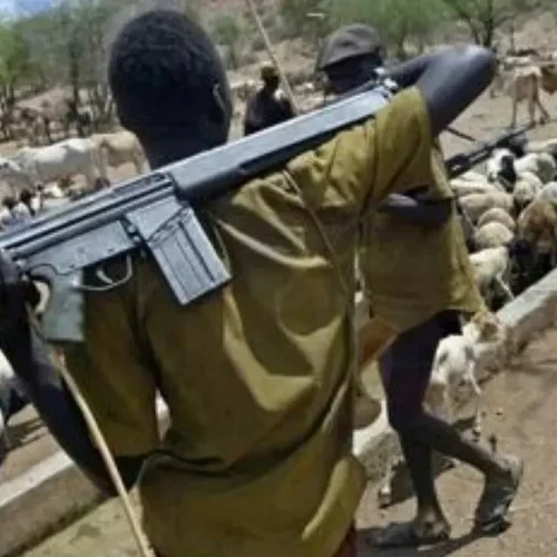 Suspected Herders Kill Three in Fresh Attack on Benue Community