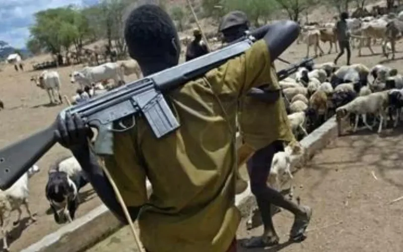 Suspected Herders Kill Three in Fresh Attack on Benue Community