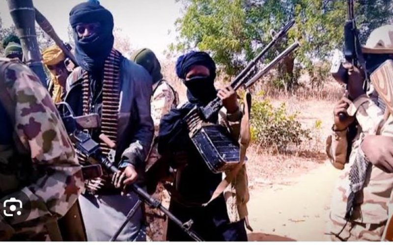 14 Killed in Bokkos Plateau Ambush as Terror Attacks Surge: Community Cries for Action