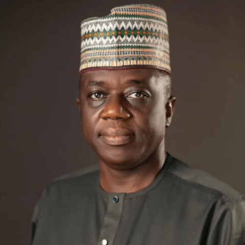 Tinubu Appoints Ogunjimi as New Accountant-General of the Federation