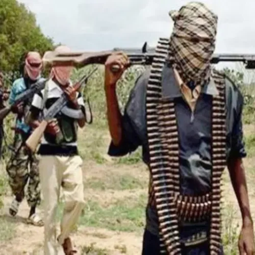 Bandits Attack Zuru Community in Kebbi, Kill Residents and Rustle Cattle