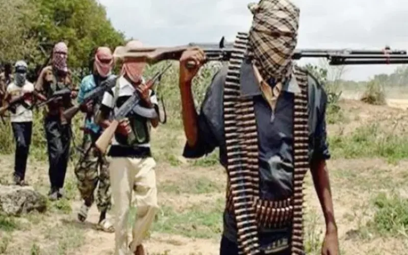 Bandits Attack Zuru Community in Kebbi, Kill Residents and Rustle Cattle