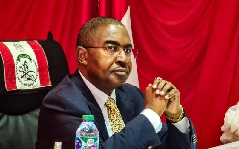 Tinubu Reappoints Buba Marwa as NDLEA Chairman for Another Five Years