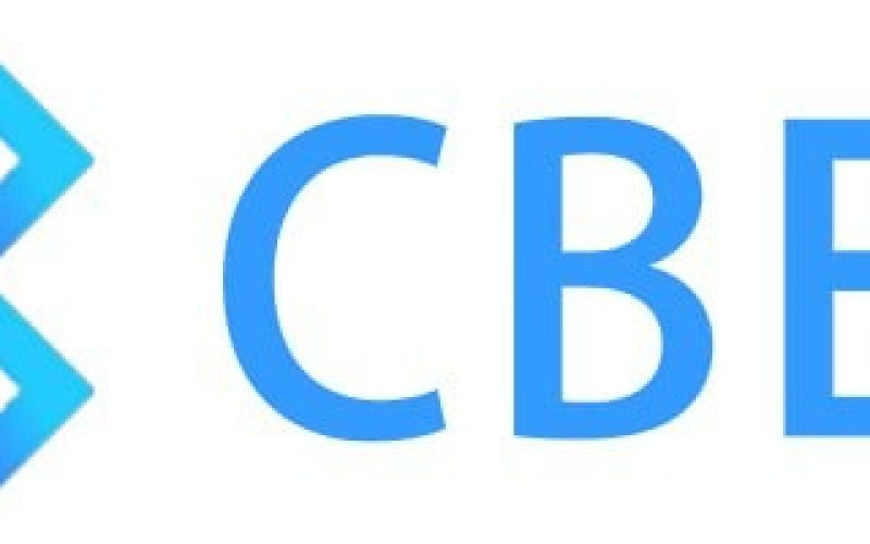 Senate Launches Probe into Ponzi Schemes, CBEX Crypto Scam Amid N1.3 Trillion Fraud