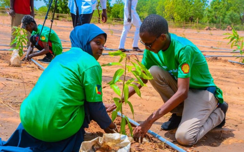 Bauchi State Launches 2025 One Million Trees Campaign to Boost Environmental Protection