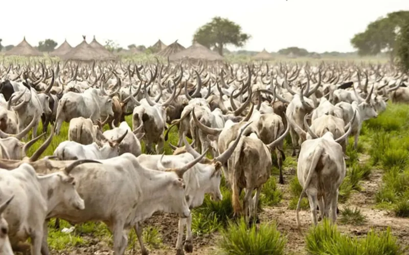 Wase Grazing Reserve