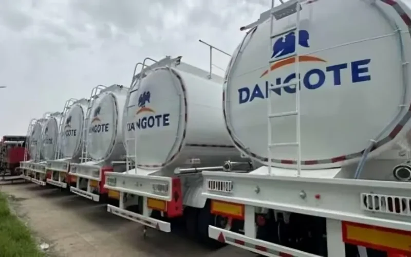 NOGASA Raises Alarm Over Dangote’s Direct Petroleum Supply Plan
