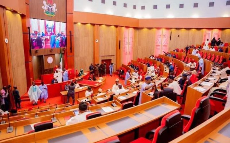 Senate Approves Over $23 Billion External Borrowing Plan to Fund Key Projects