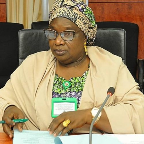 MENTAL HEALTH MANAGEMENT: KADUNA GOVT WARNS AGAINST STIGMATISATION OF AFFECTED PERSONS
