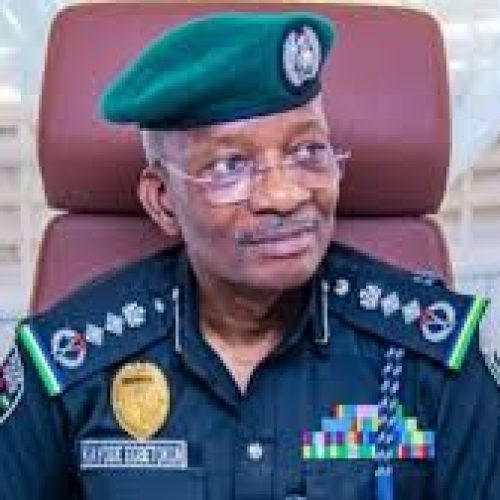 IGP Egbetokun Defends 2025 Budget