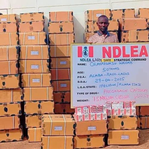 NDLEA Busts Major Drug Trafficking Network