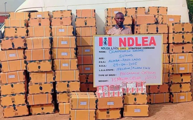 NDLEA Busts Major Drug Trafficking Network