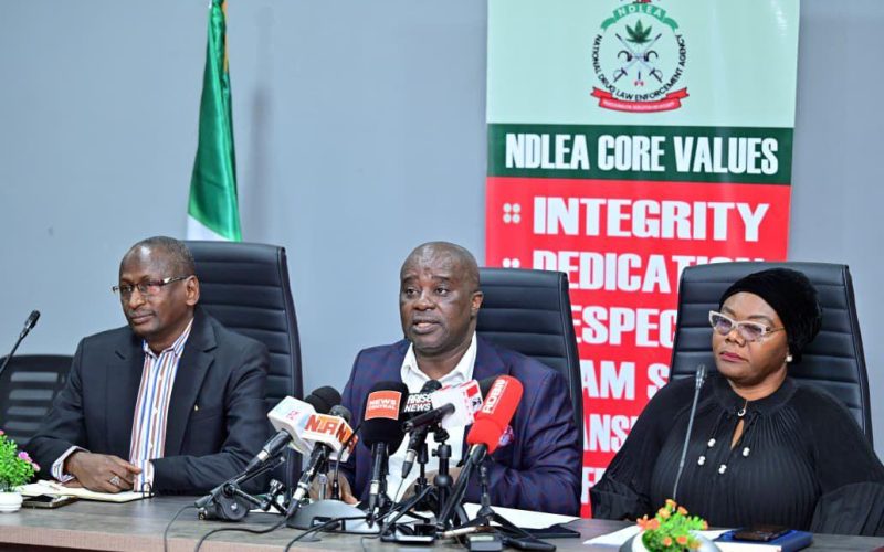 NDLEA Arrests Criminal Syndicate Leader Behind Saudi Drug Scandal