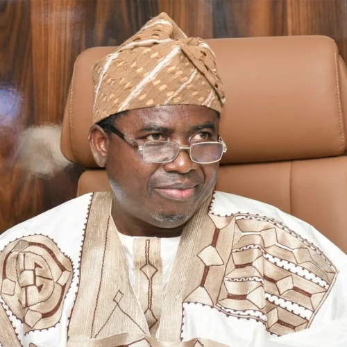 INEC Rejects Chairman Removal Calls