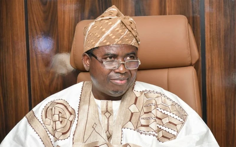 INEC Rejects Chairman Removal Calls