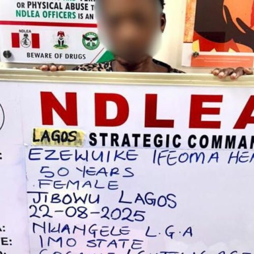 Widow Using Fake Pregnancy to Traffic Cocaine Arrested by NDLEA in Lagos