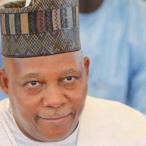 Vice President Shettima