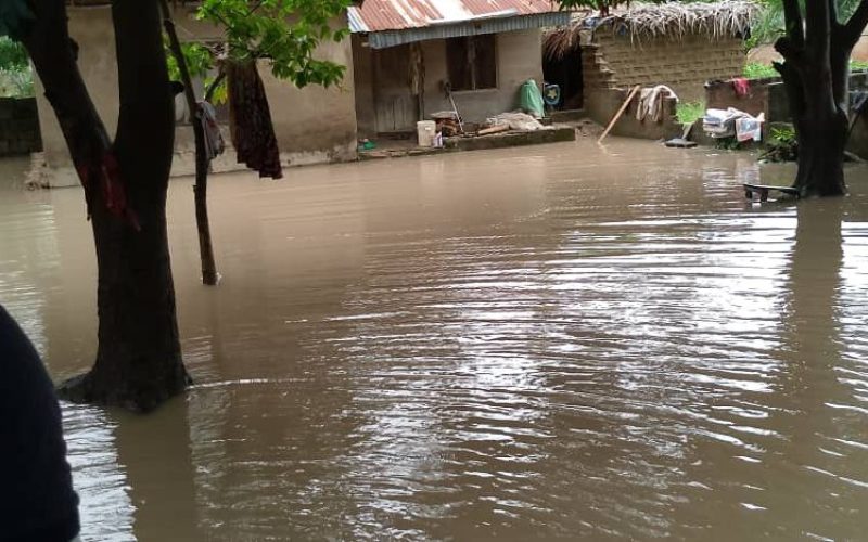 Kebbi Government Begins Drainage Evacuation to Prevent Flooding