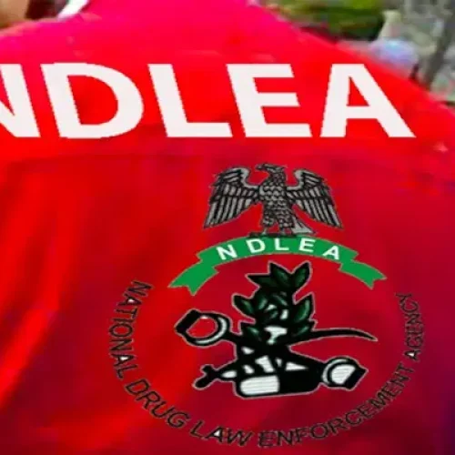 NDLEA Arrests Notorious Drug Kingpin